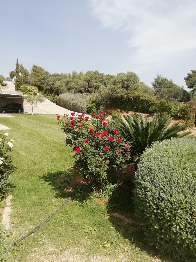 מלון ראפינה Dimitra מראה חיצוני תמונה