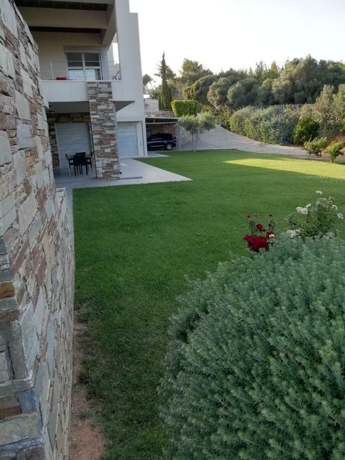 מלון ראפינה Dimitra מראה חיצוני תמונה